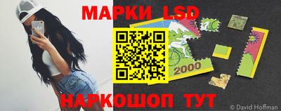 гидра Будённовск