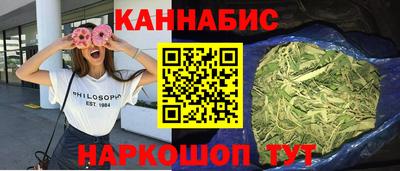 гидра Будённовск