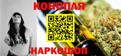 гидра Будённовск