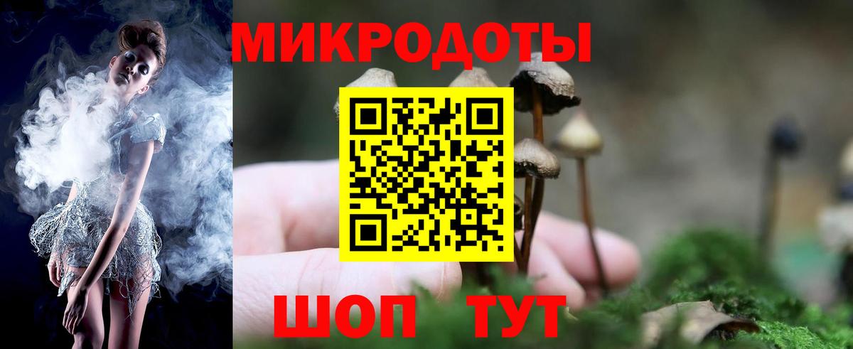 Псилоцибиновые грибы Cubensis  Вход с VPN  купить наркоту  Псилоцибиновые грибы прущие грибы  Кубинка 